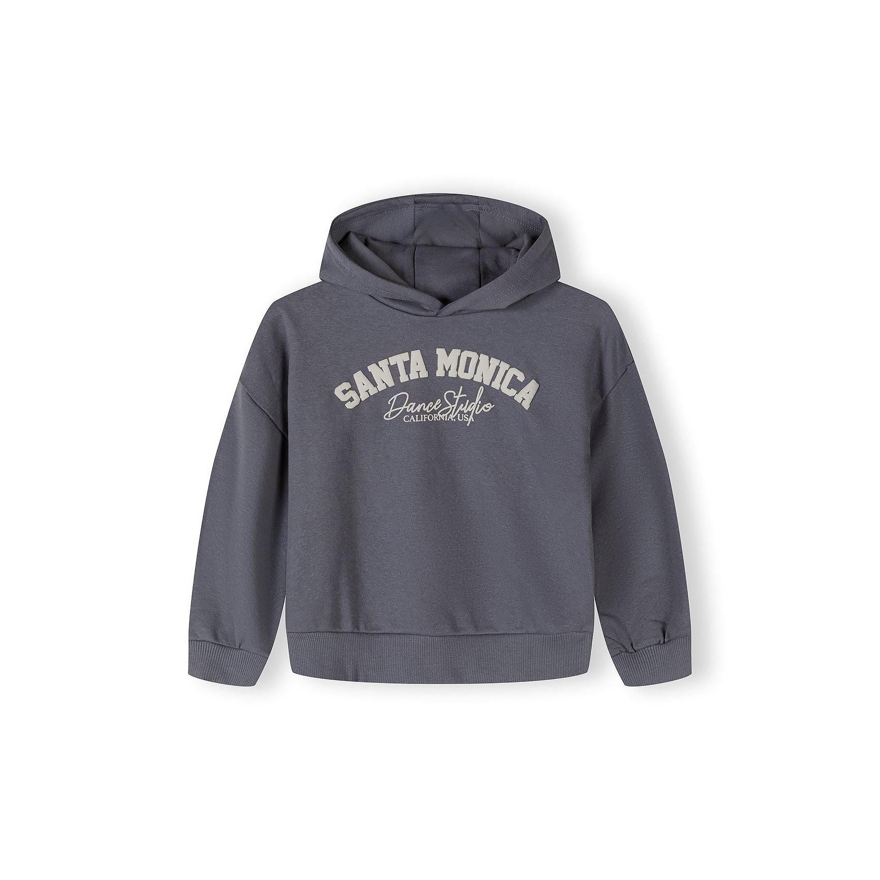 Blue-grey hooded sweatshirt with Santa Monica Dance Studio California Co text in white lettering, shown against white background