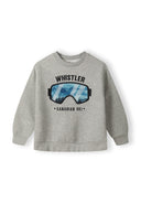 Boys grey sweatshirt with graphic appliqué, front view, ribbed cuffs and waistband.