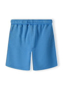 Boys blue shorts set, back view, elasticated waistband.