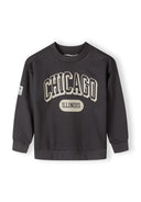 Boys grey fleece crew neck sweatshirt with decorative print, front view.